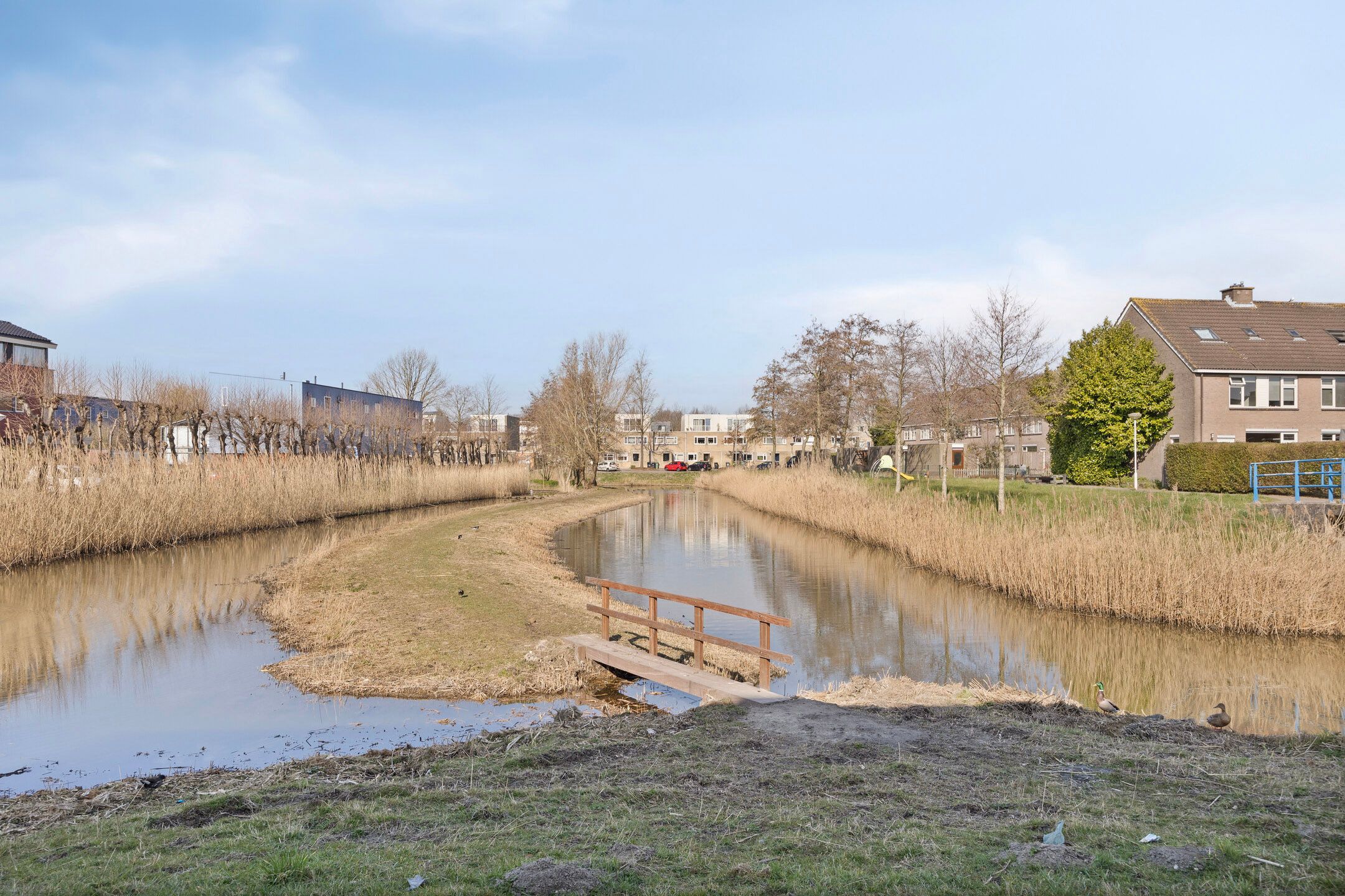 Foto 30 van Ruseschans 20