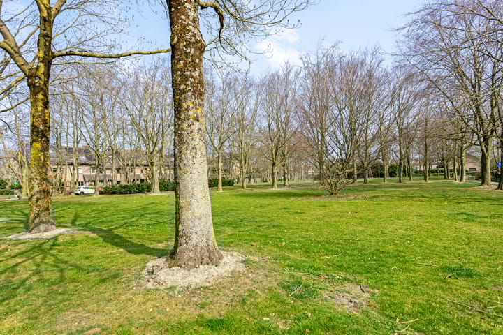 Foto 31 van Beverdam 39