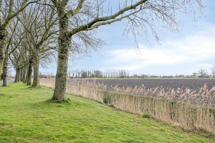 Photo 7 of Burgemeester Kosterstraat 30