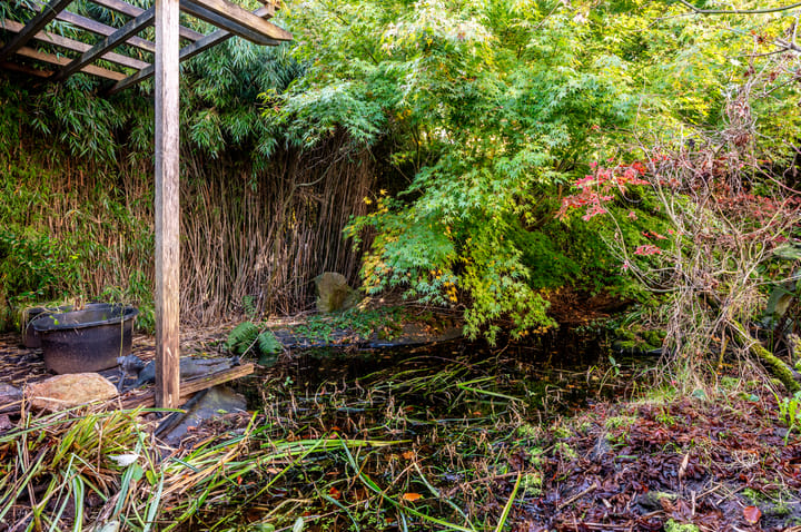 Foto 25 van Ambt. Dorknoperlaan 53