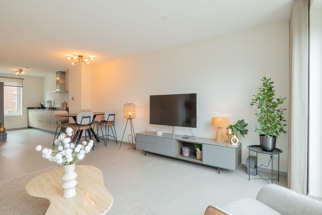 Photo 17 of Windsor 50