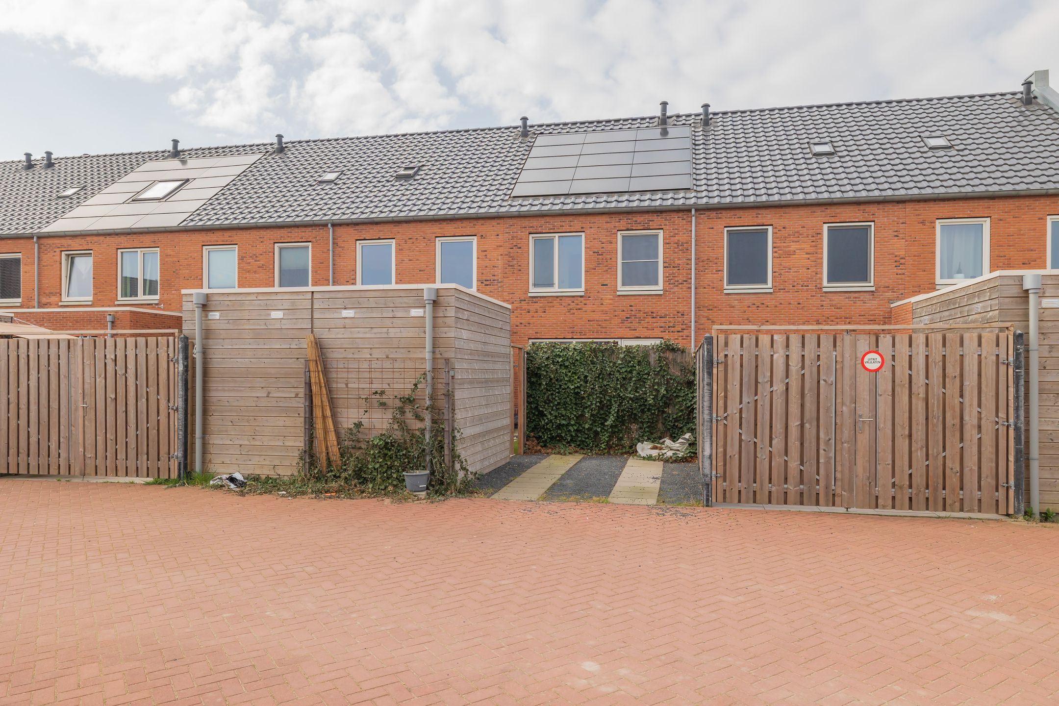 Photo 21 of Windsor 50