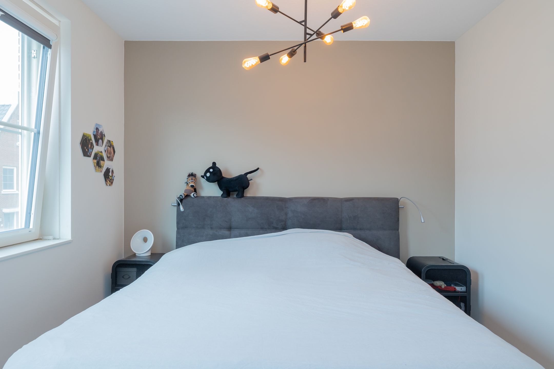 Photo 24 of Windsor 50