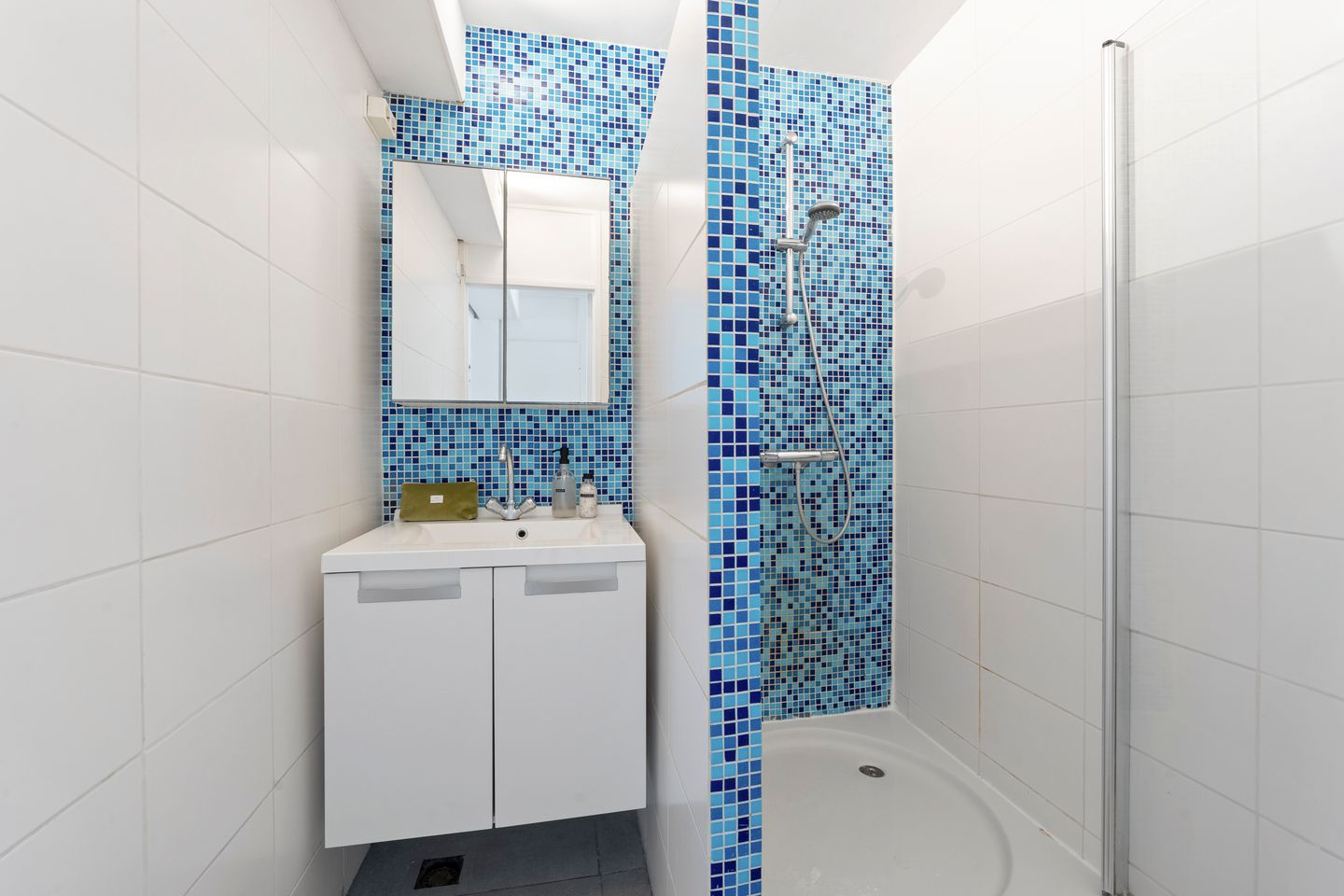 Foto 10 van Zomervaart 208