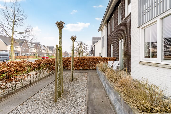 Foto 64 van Elementen 18