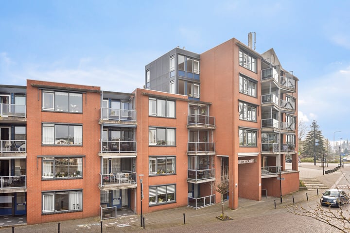 Galerij 46