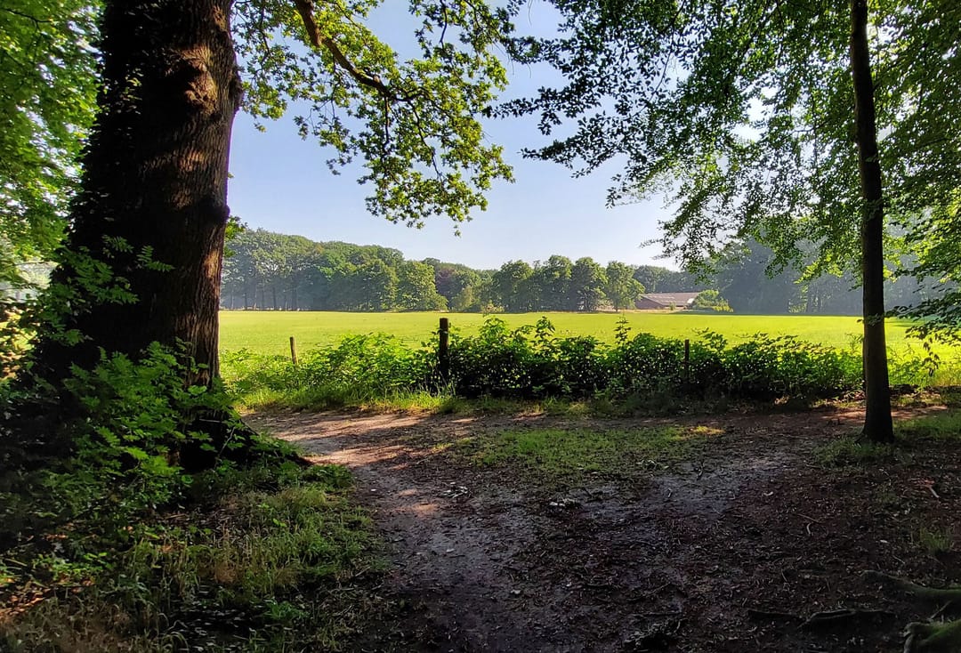 Photo 23 of Churchillplein 67