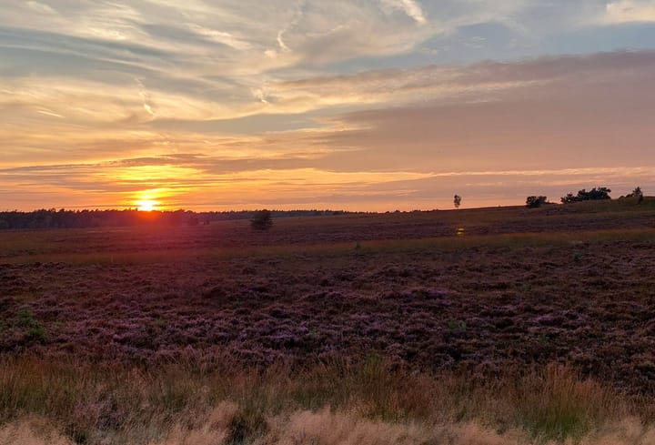 Foto 24 van Churchillplein 67