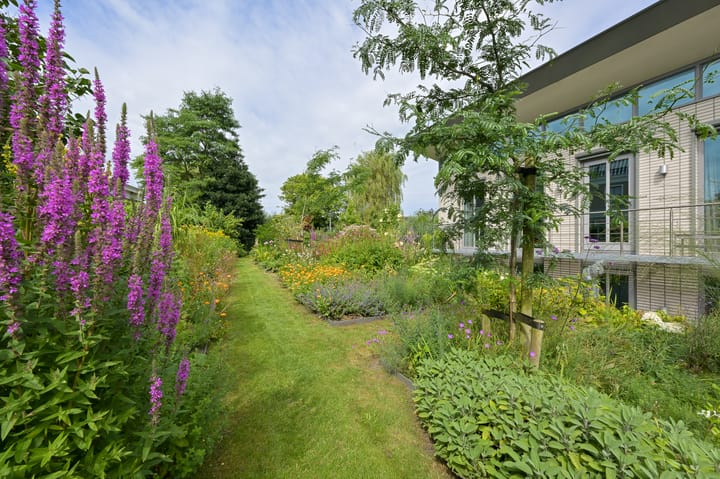 Foto 69 van A.V.H. Destreelaan 145