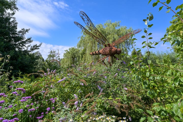 Foto 73 van A.V.H. Destreelaan 145