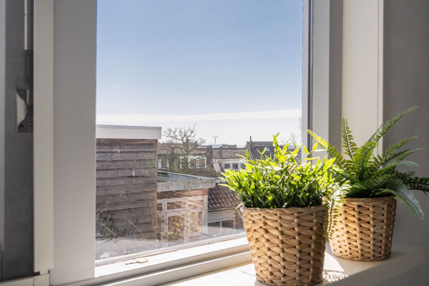 Foto 25 van Hoogstraat 42