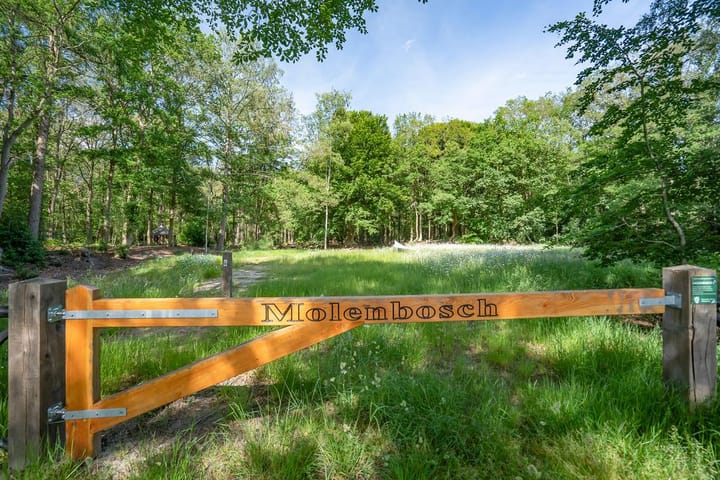 Photo 18 of Molenbosch 50