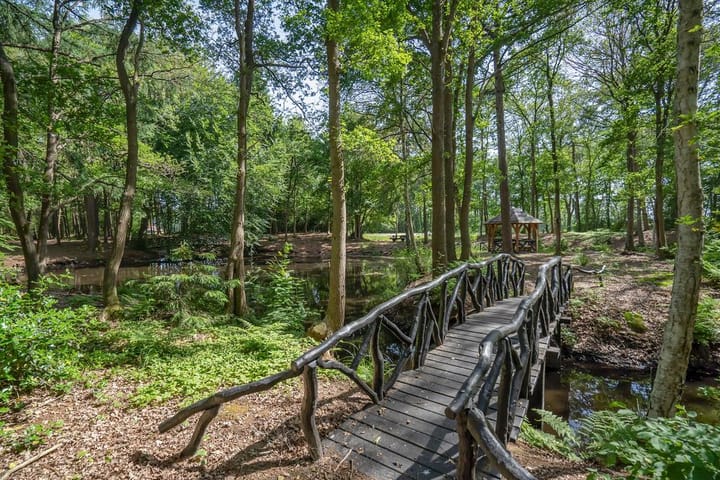 Photo 19 of Molenbosch 50