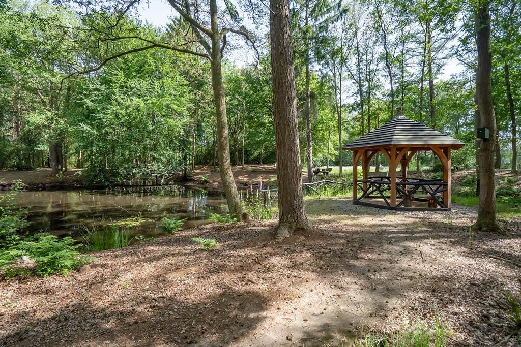 Foto 20 van Molenbosch 50