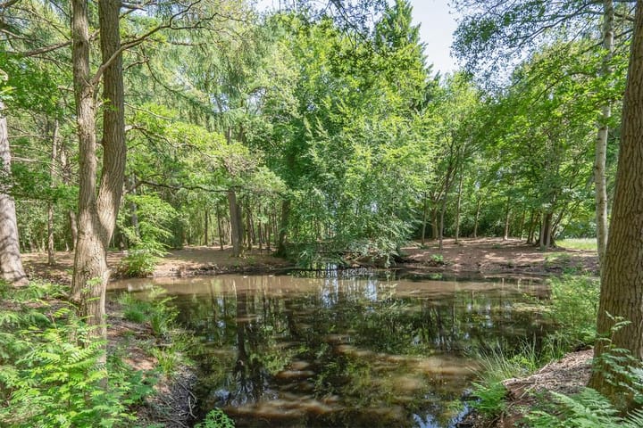 Photo 21 of Molenbosch 50