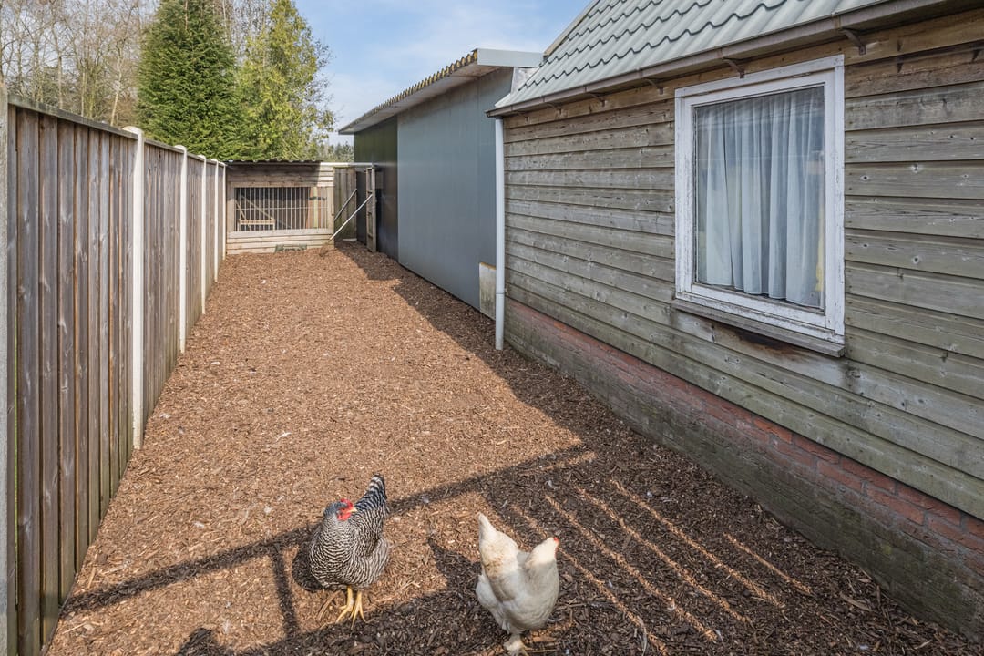 Foto 41 van Daarlerveenseweg 9