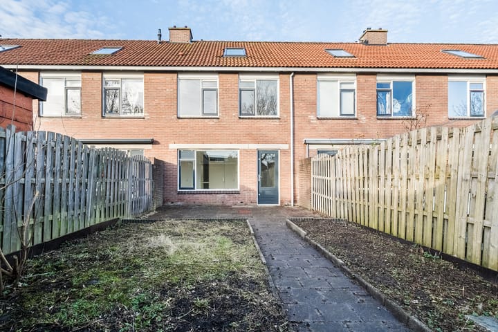 Foto 3 van Grutto 28