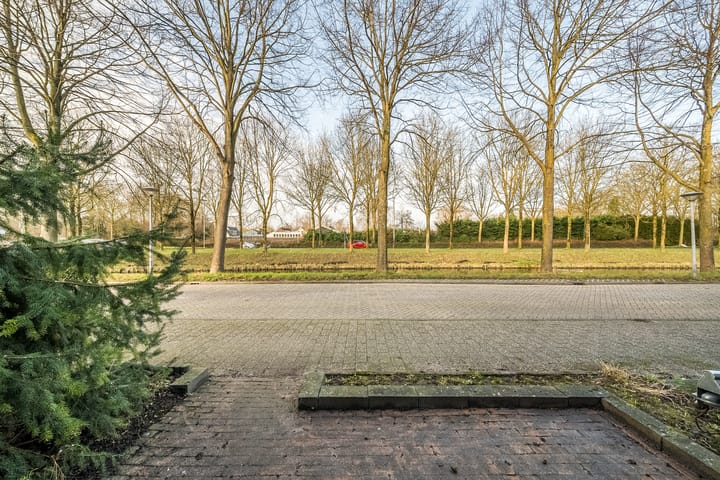 Foto 5 van Grutto 28