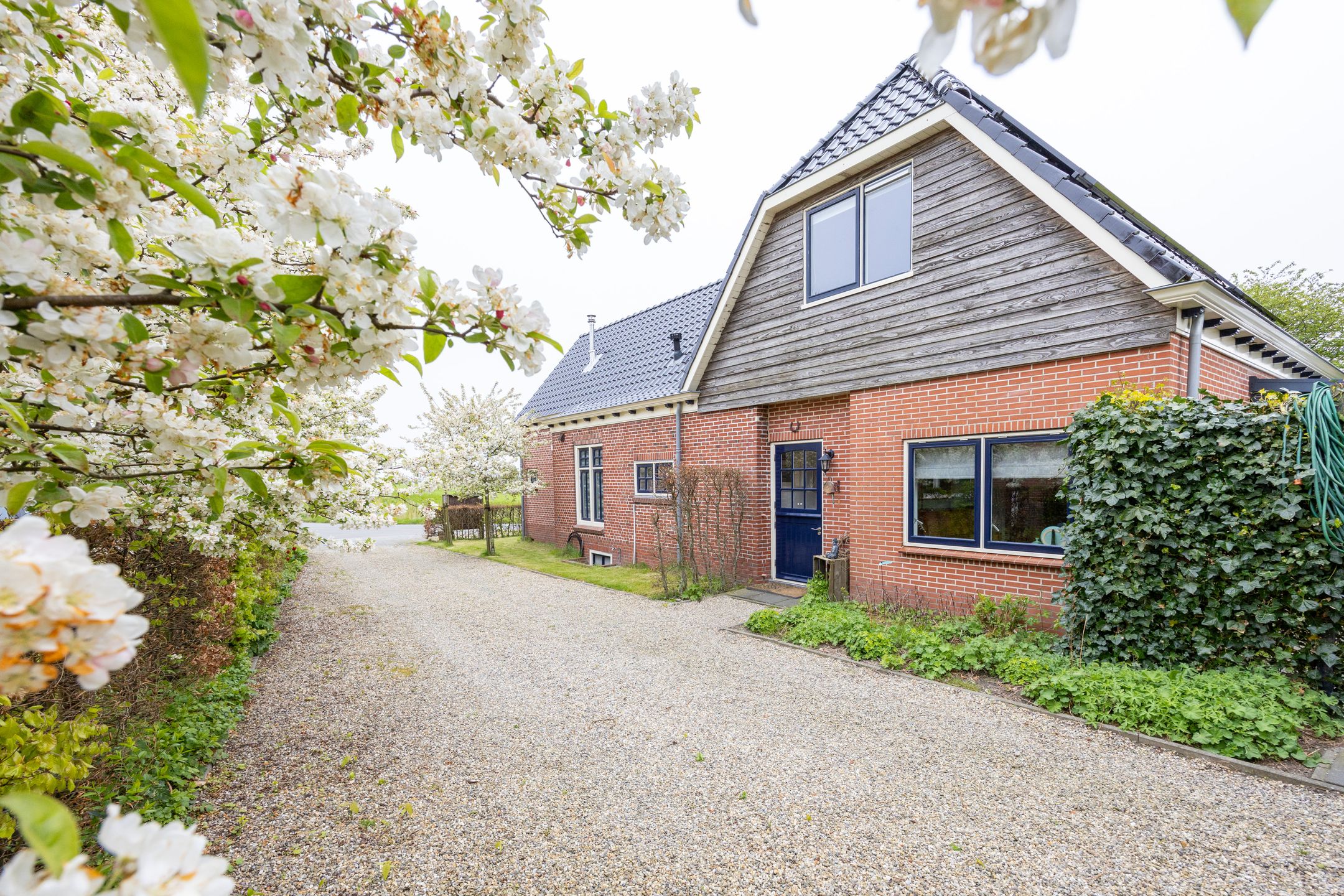 Foto 6 van Borgweg 13