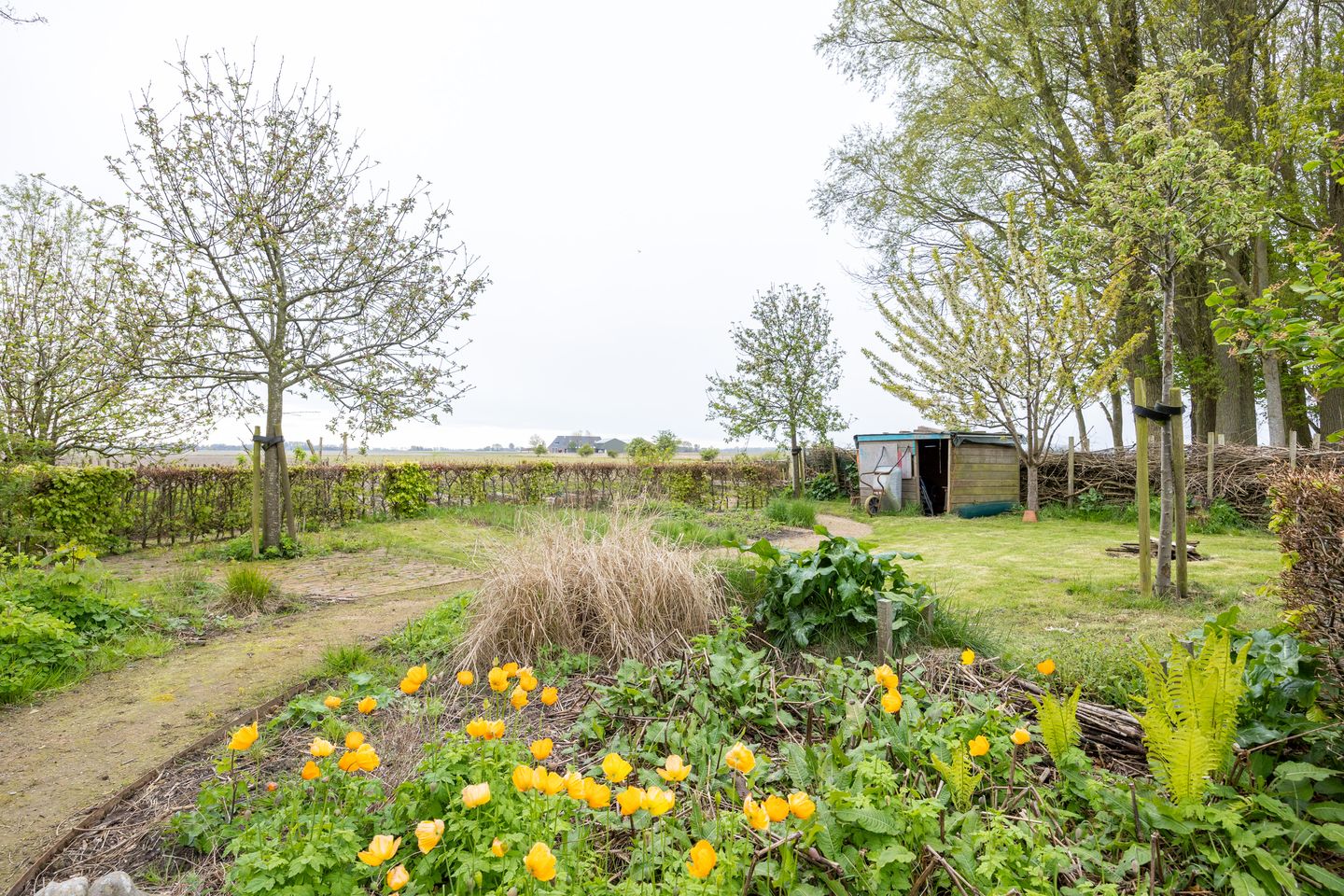 Foto 50 van Borgweg 13