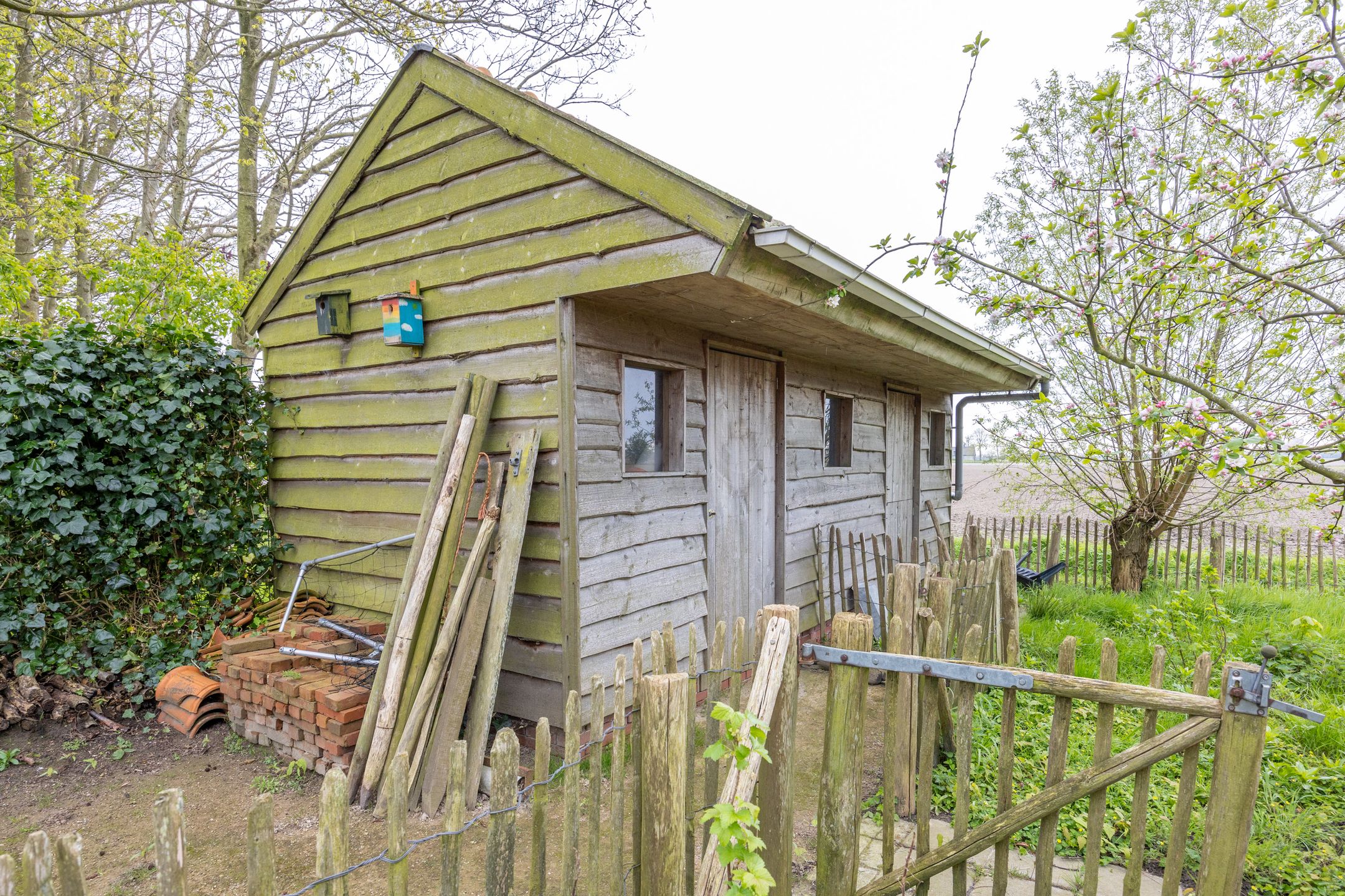 Foto 51 van Borgweg 13