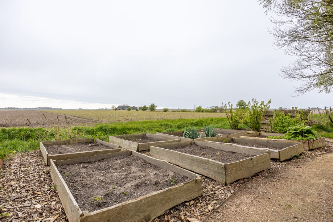 Foto 52 van Borgweg 13