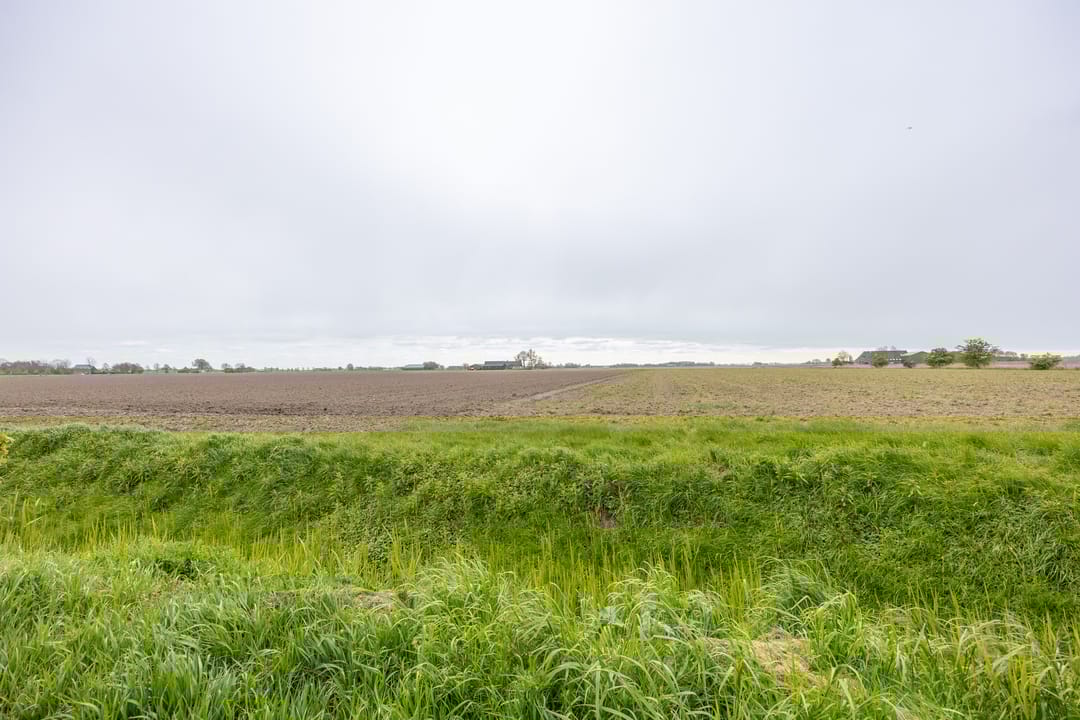 Foto 53 van Borgweg 13