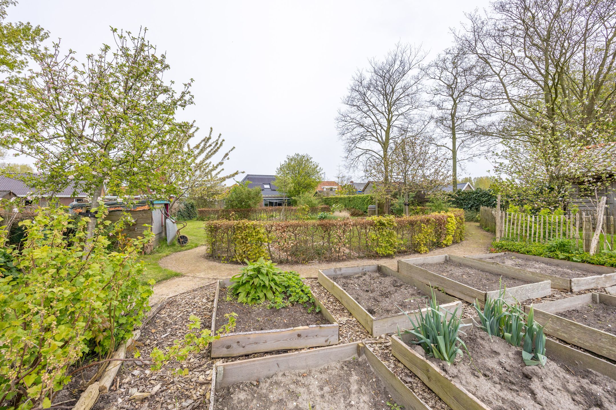 Foto 54 van Borgweg 13