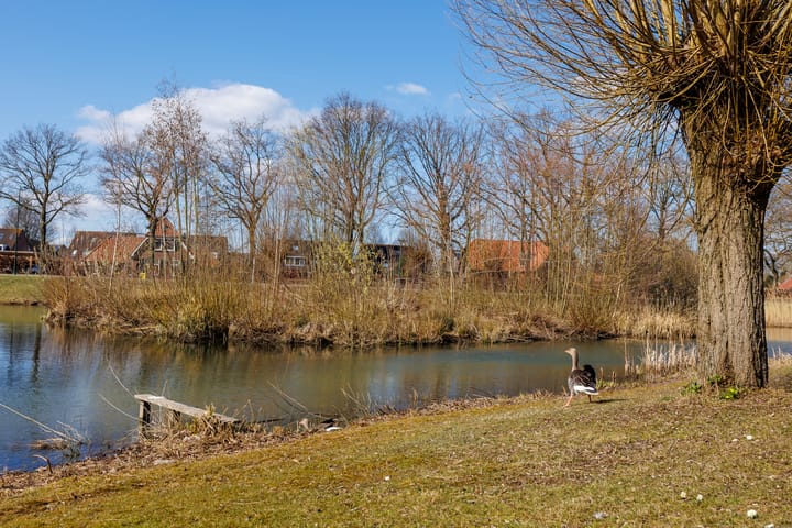 Foto 50 van Zalmgracht 8