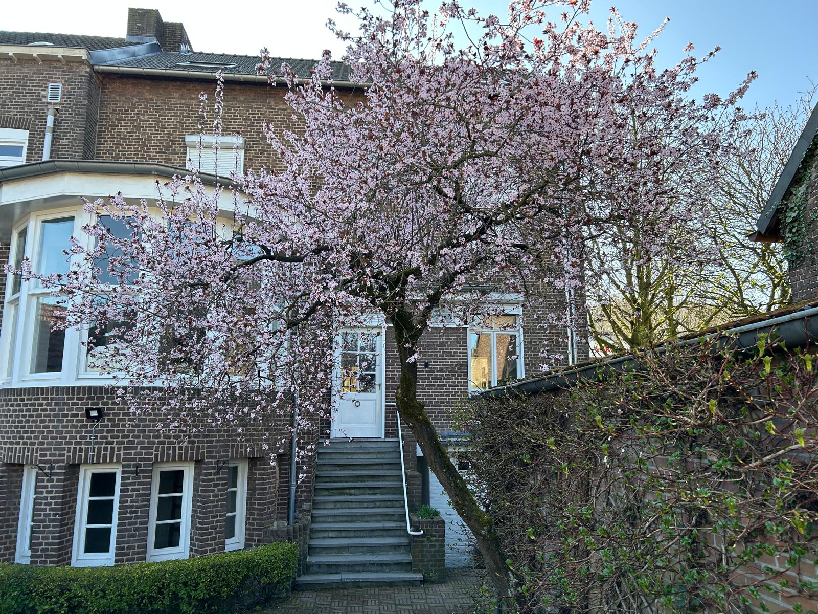 Photo 21 of Rijksweg 79