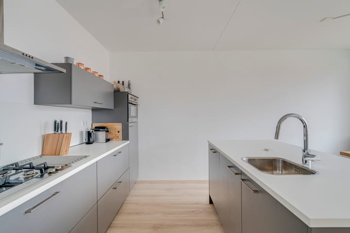 Foto 9 van Buxushaag 14