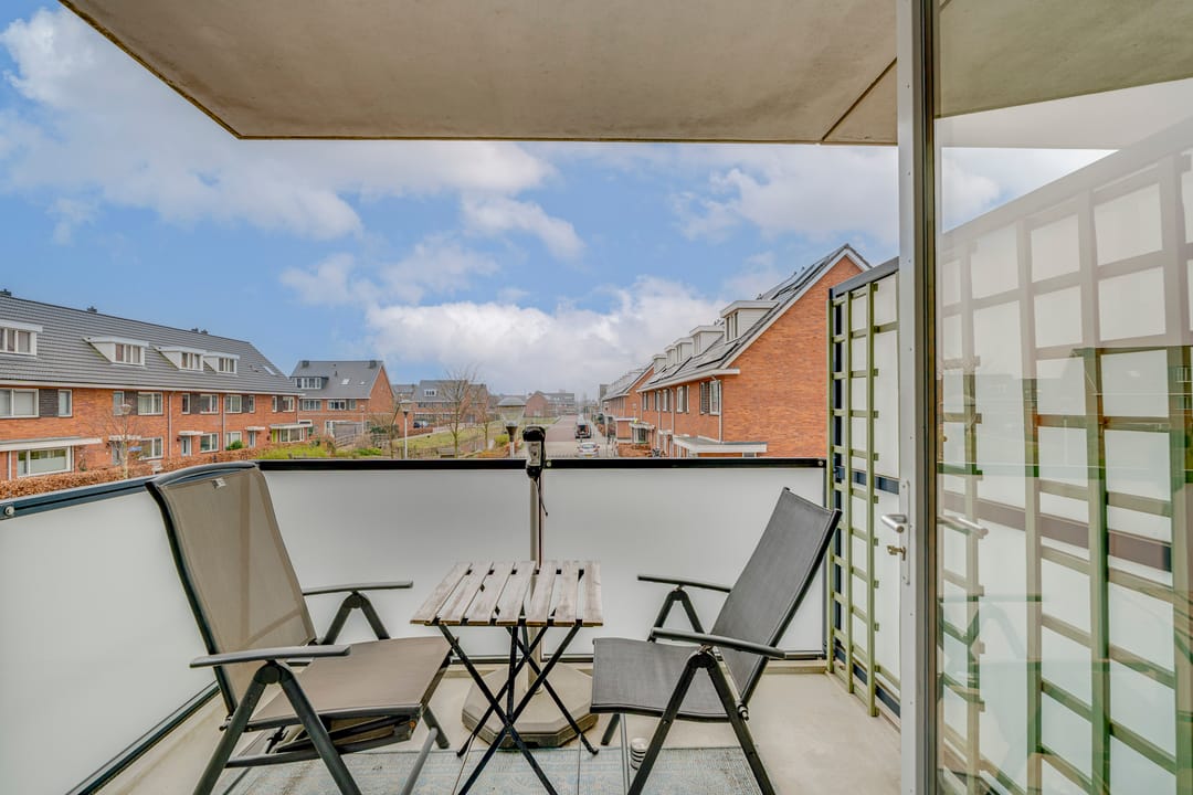 Foto 11 van Buxushaag 14