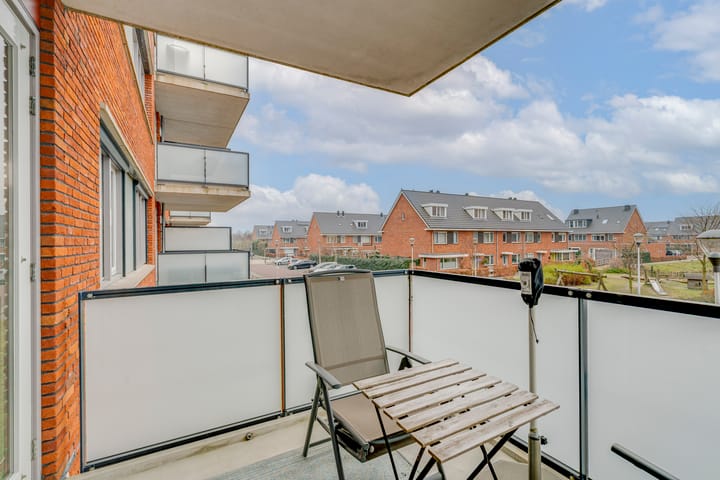 Foto 12 van Buxushaag 14