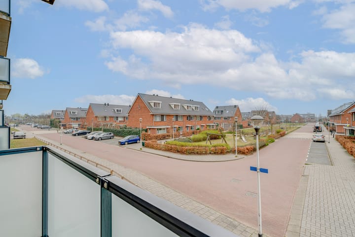 Foto 13 van Buxushaag 14