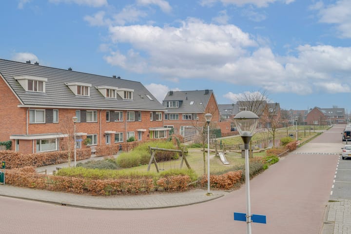 Foto 14 van Buxushaag 14