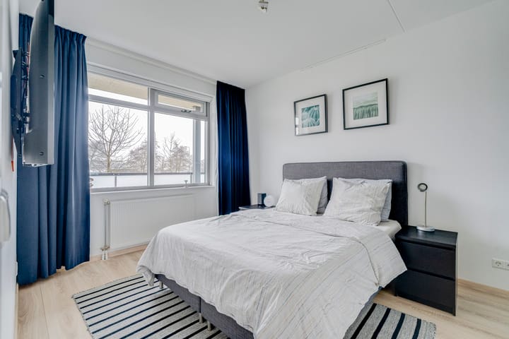 Foto 17 van Buxushaag 14