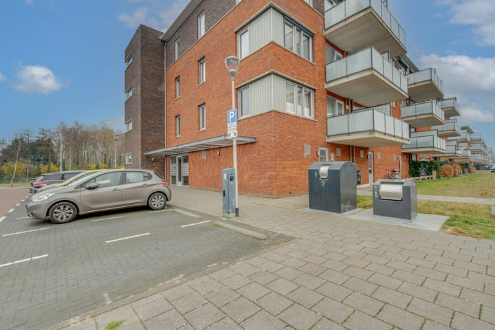 Foto 28 van Buxushaag 14