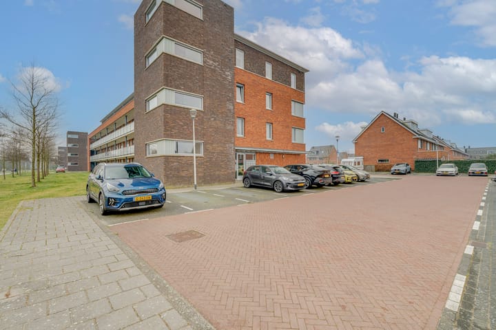 Foto 29 van Buxushaag 14