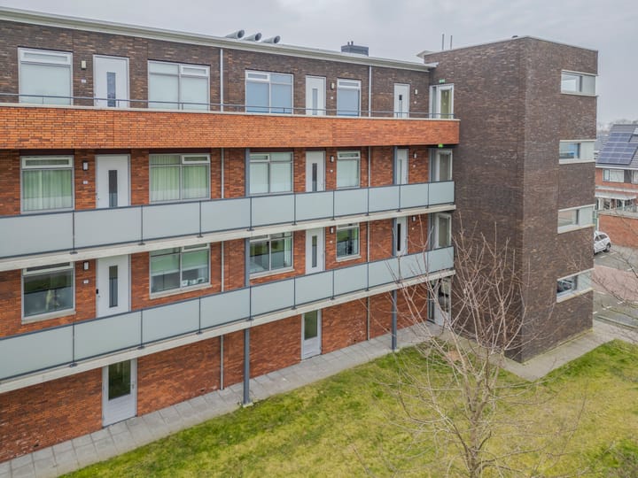 Foto 30 van Buxushaag 14