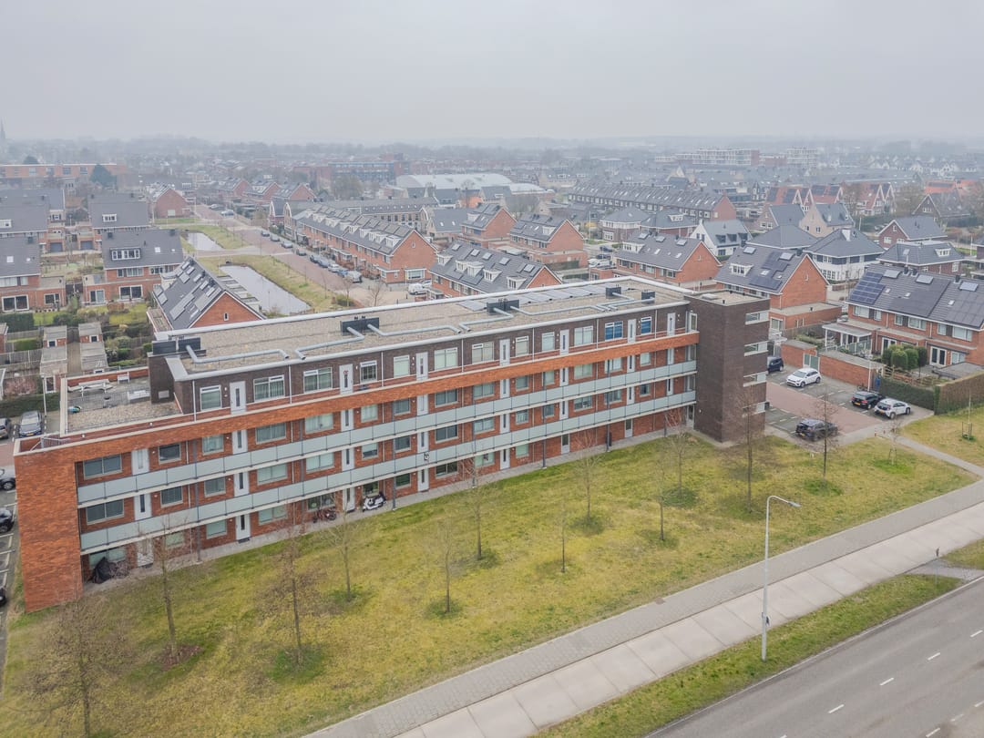 Foto 32 van Buxushaag 14