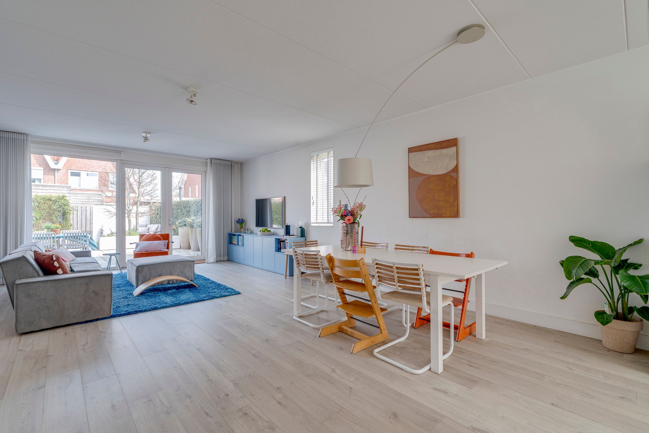 Photo 3 of Narcis 47