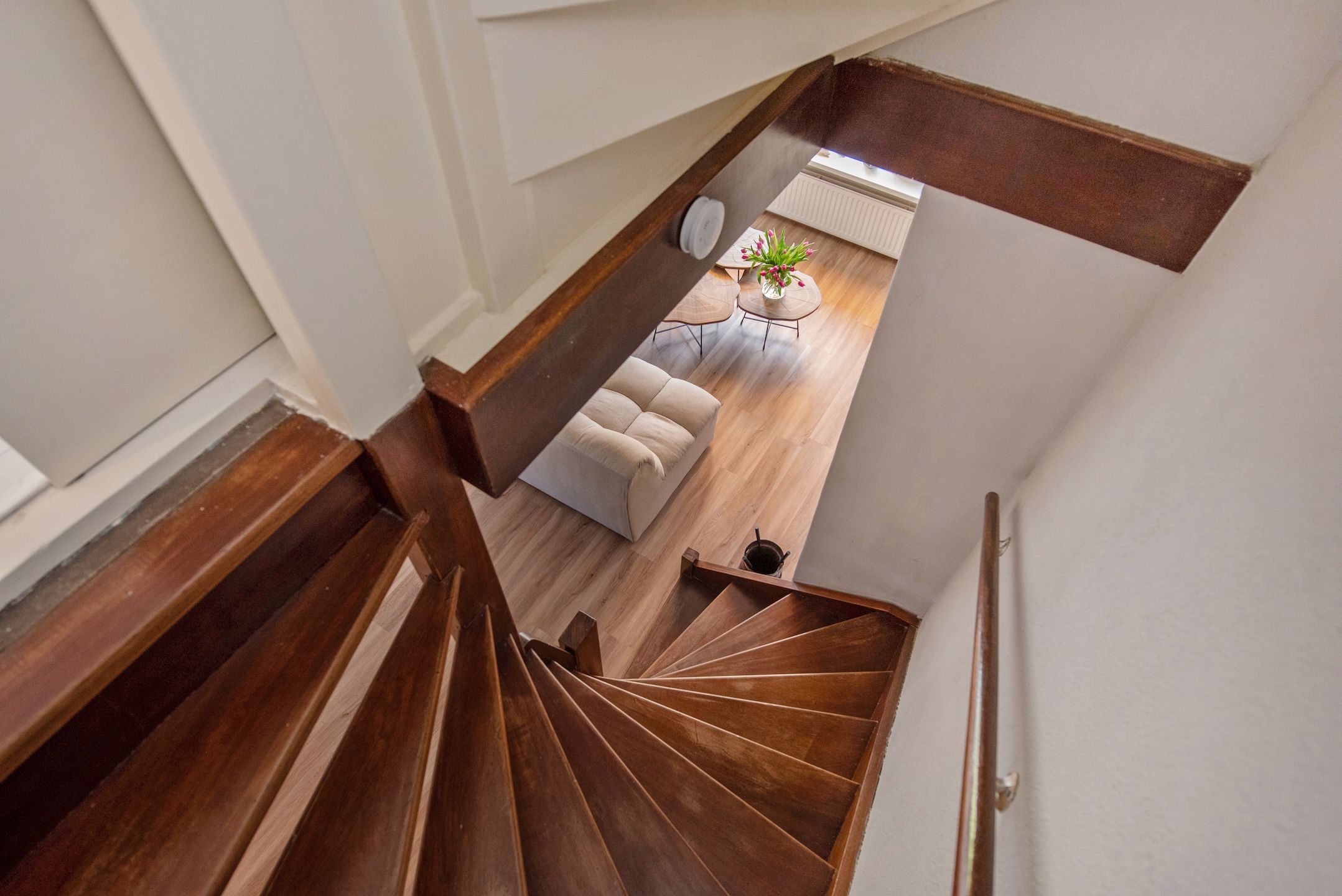 Foto 21 van Roelantshove 38