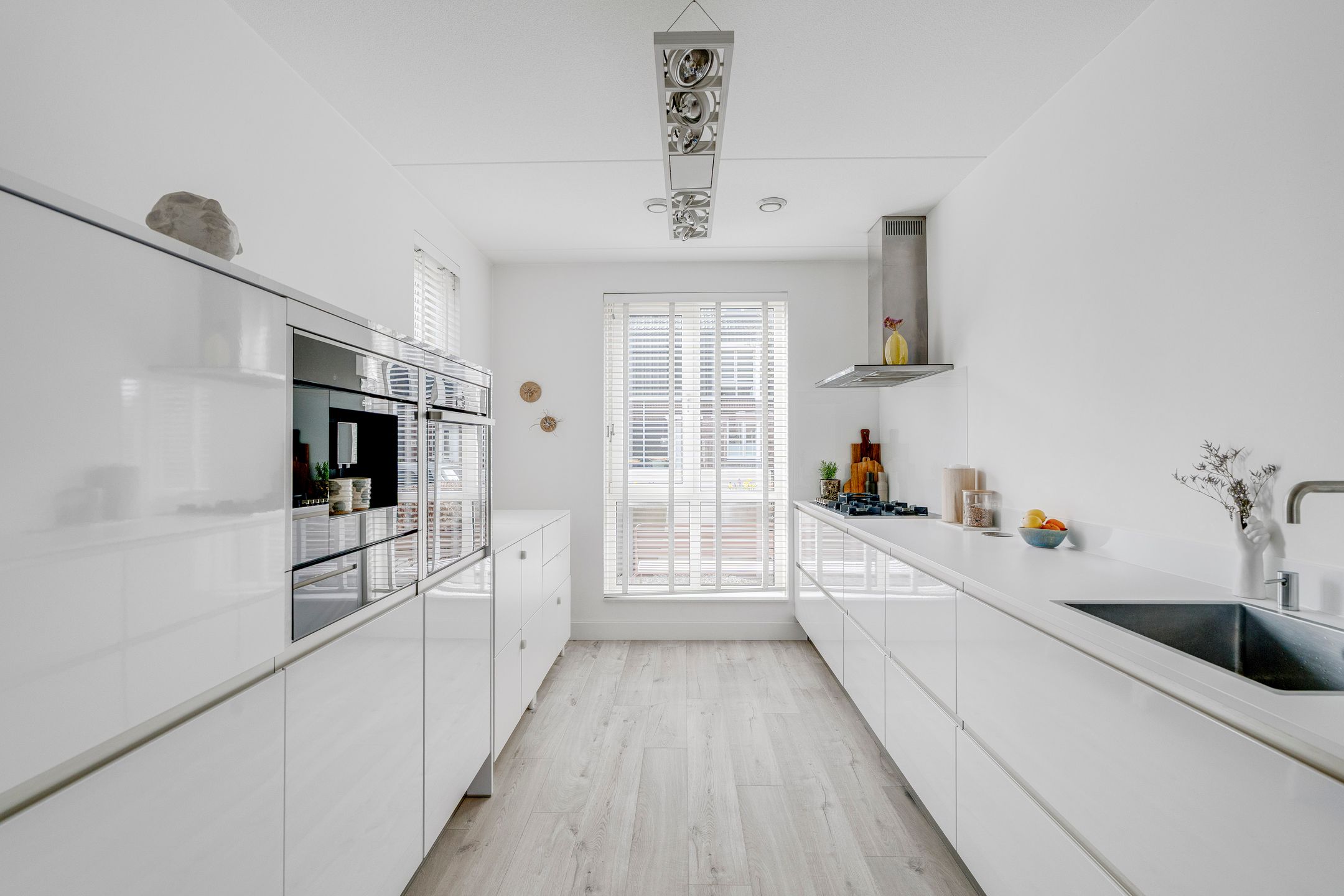 Photo 6 of Narcis 47