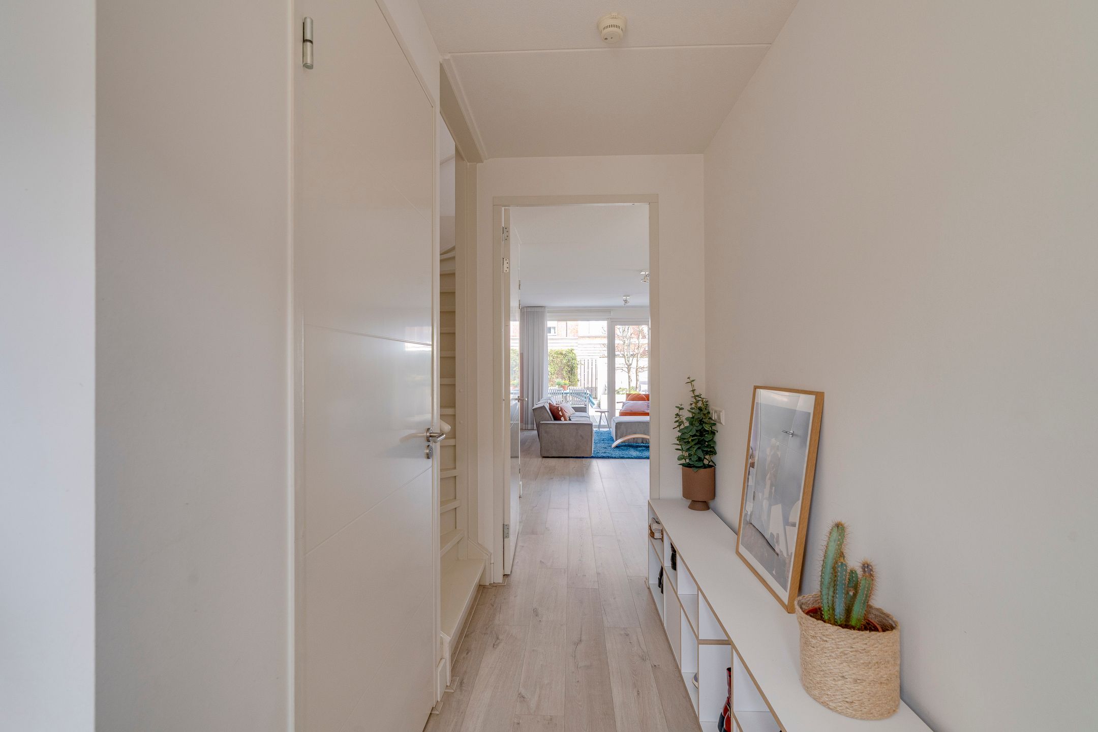 Photo 9 of Narcis 47