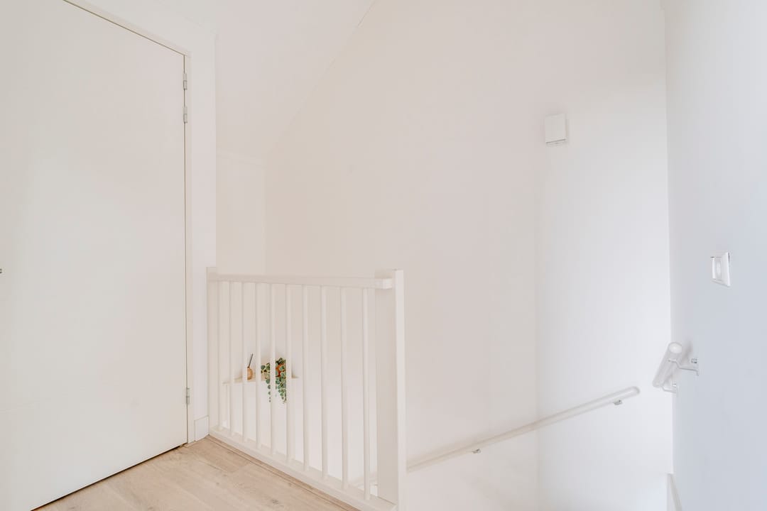 Photo 22 of Narcis 47