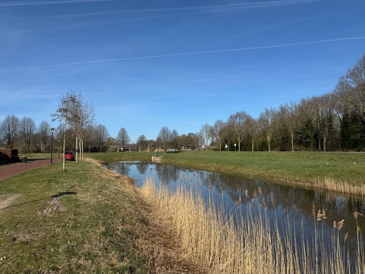 Foto 7 van Dalkruid 3