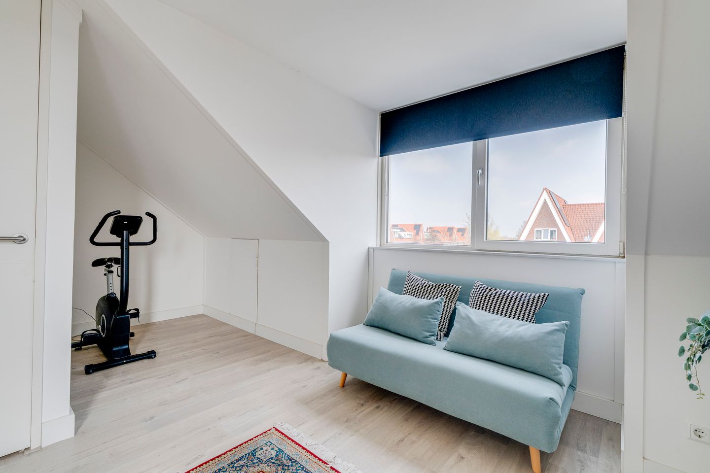 Photo 25 of Narcis 47