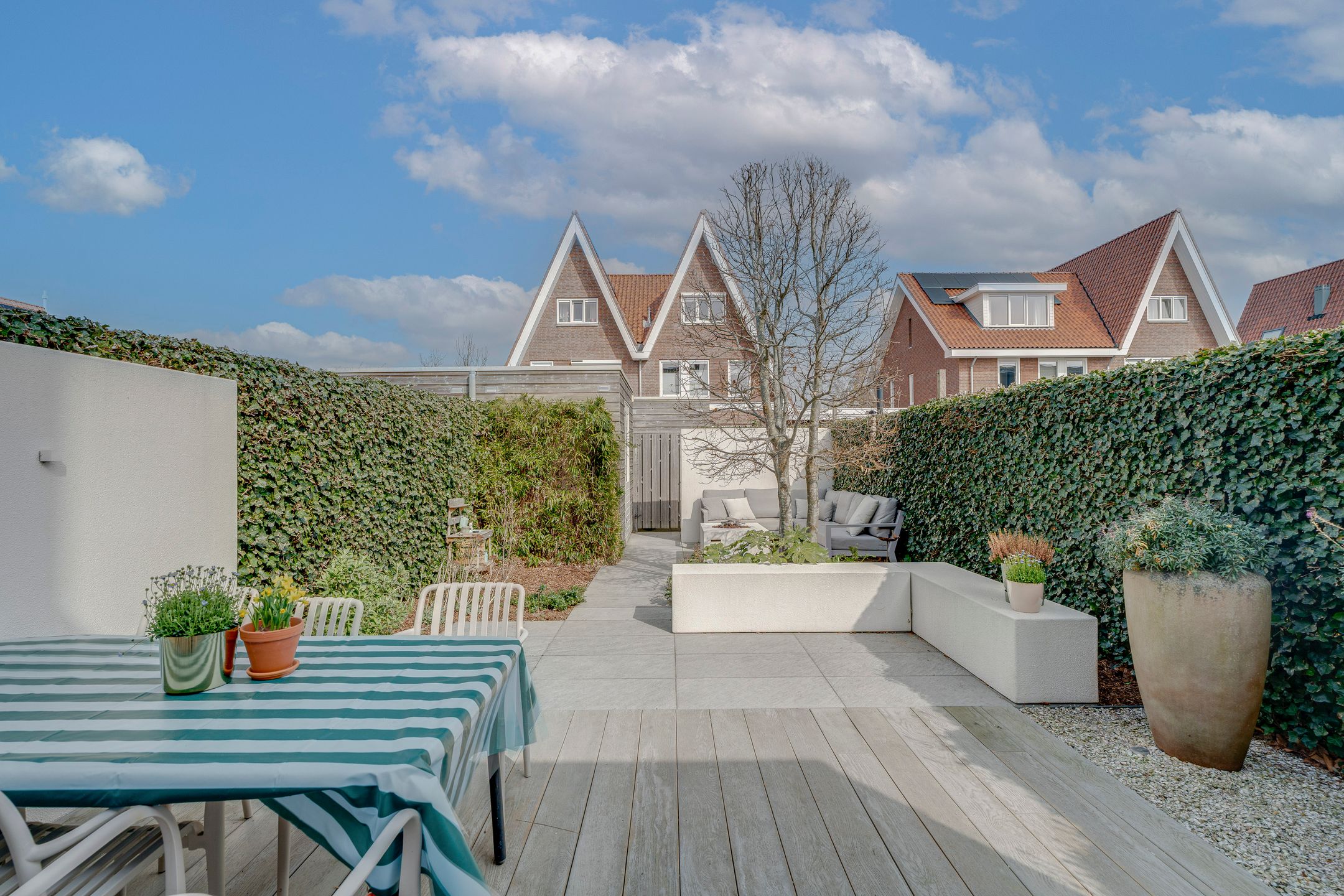 Photo 27 of Narcis 47