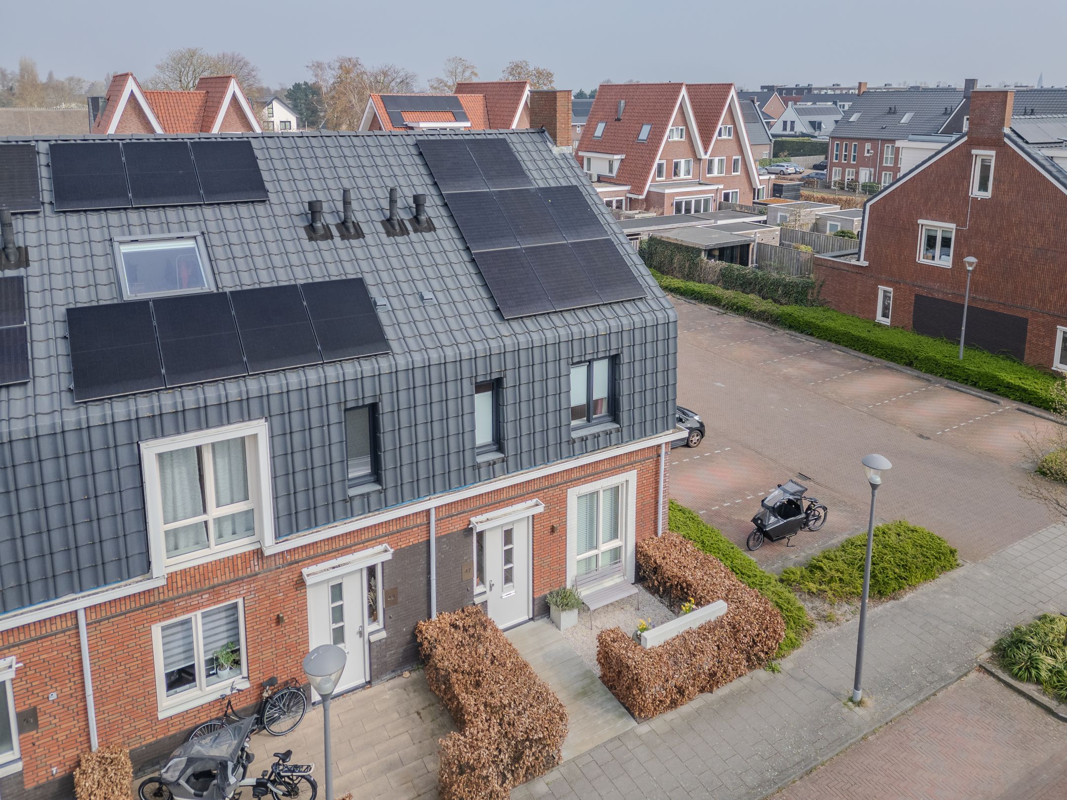 Photo 36 of Narcis 47