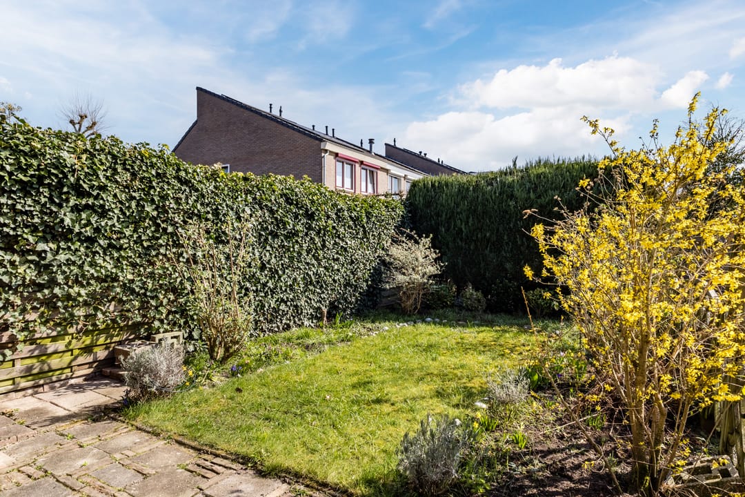 Photo 37 of Eltingerhof 117